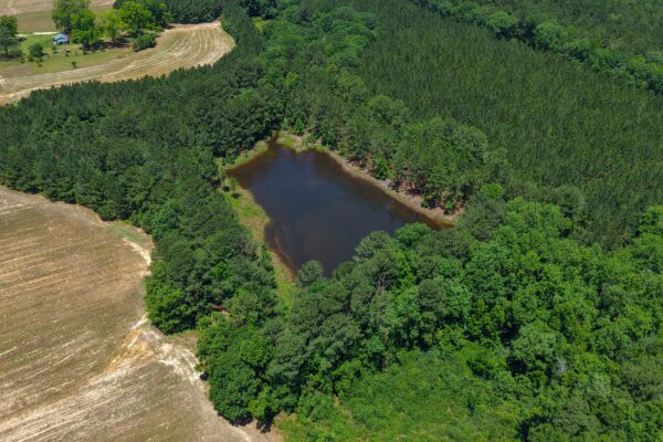 Photo of 110-acre-estate-in-brundidge-pike-county-al-auction