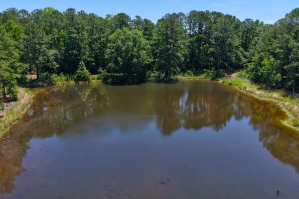 Photo of 110-acre-estate-in-brundidge-pike-county-al-auction