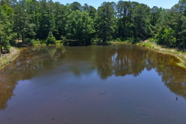 Photo of 110-acre-estate-in-brundidge-pike-county-al-auction