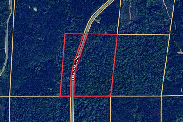 Photo of 40%c2%b1-acres-of-residential-land-in-greenville-butler-county-al-auction
