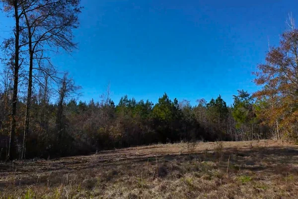 Photo of 146± acre Wooded Retreat Georgiana, Conecuh County, AL Auction