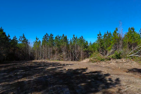 Photo of 146-acre-wooded-retreat