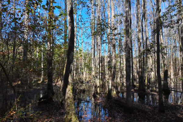 Photo of 146-acre-wooded-retreat