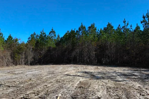 Photo of 146± acre Wooded Retreat Georgiana, Conecuh County, AL Auction