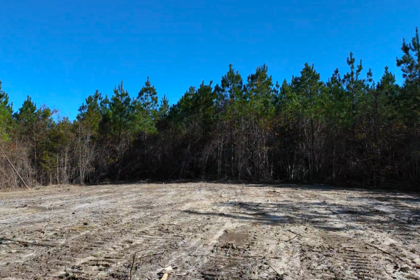 Photo of 146-acre-wooded-retreat