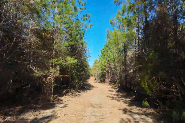 Photo of 146-acre-wooded-retreat