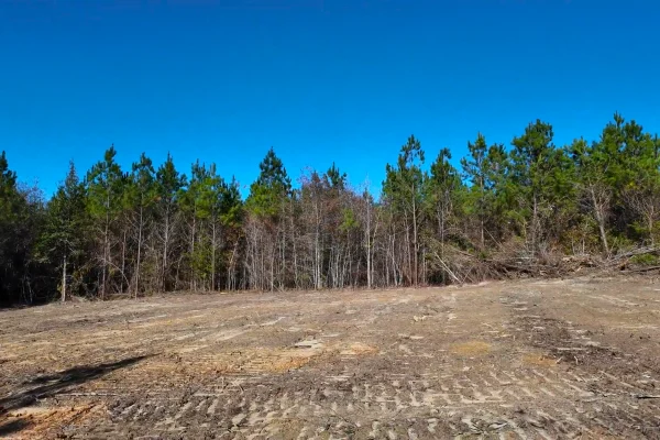 Photo of 146± acre Wooded Retreat Georgiana, Conecuh County, AL Auction