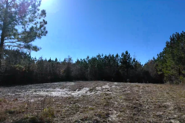 Photo of 146± acre Wooded Retreat Georgiana, Conecuh County, AL Auction