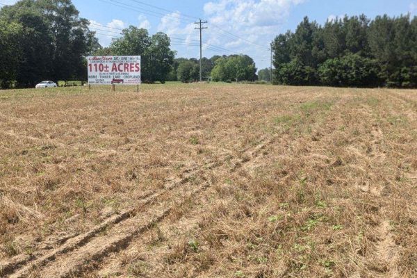 Photo of 110-acre-estate-in-brundidge-pike-county-al-auction