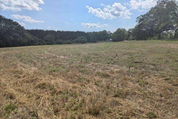 Photo of 110-acre-estate-in-brundidge-pike-county-al-auction