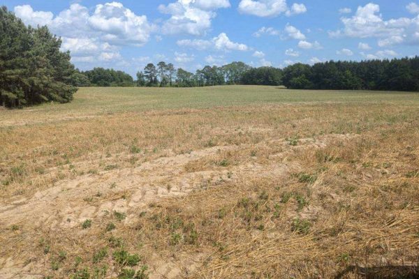 Photo of 110-acre-estate-in-brundidge-pike-county-al-auction