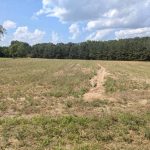 110± acre Tract in Brundidge, Pike County, AL Auction