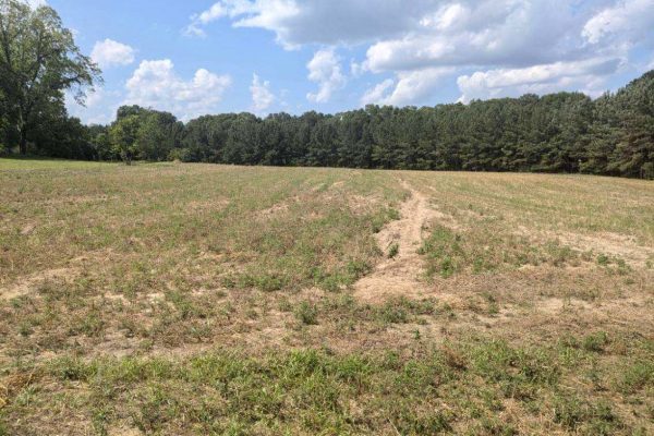 Photo of 110-acre-estate-in-brundidge-pike-county-al-auction