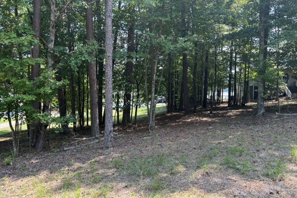 Photo of waterfront-residential-and-recreation-lots-in-cherokee-county-al-absolute-estate-auction