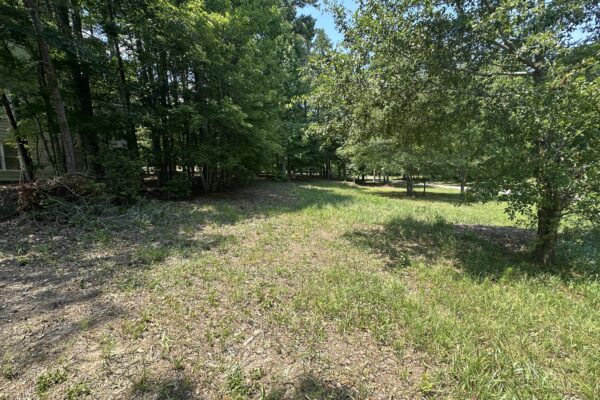 Photo of waterfront-residential-and-recreation-lots-in-cherokee-county-al-absolute-estate-auction