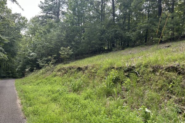 Photo of waterfront-residential-and-recreation-lots-in-cherokee-county-al-absolute-estate-auction