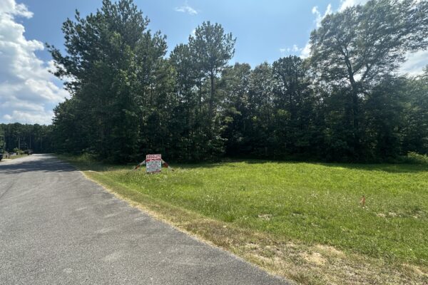 Photo of waterfront-residential-and-recreation-lots-in-cherokee-county-al-absolute-estate-auction