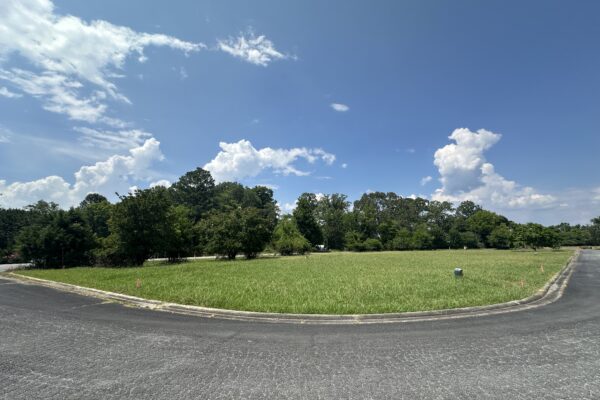 Photo of waterfront-residential-and-recreation-lots-in-cherokee-county-al-absolute-estate-auction