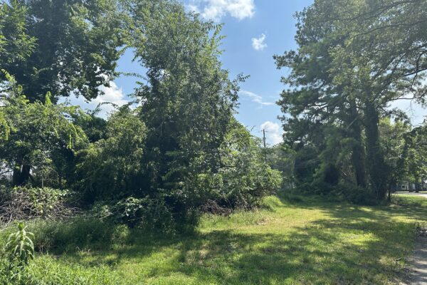 Photo of waterfront-residential-and-recreation-lots-in-cherokee-county-al-absolute-estate-auction