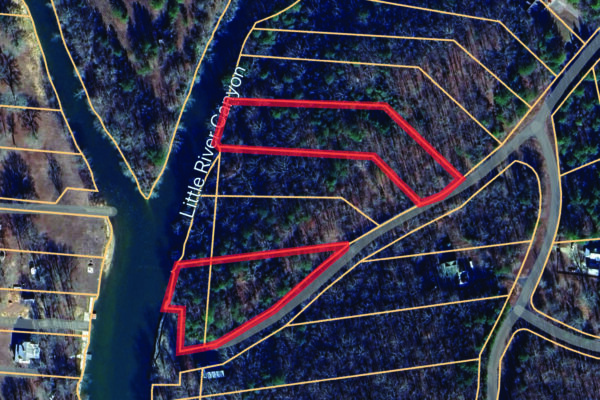 Photo of waterfront-residential-and-recreation-lots-in-cherokee-county-al-absolute-estate-auction
