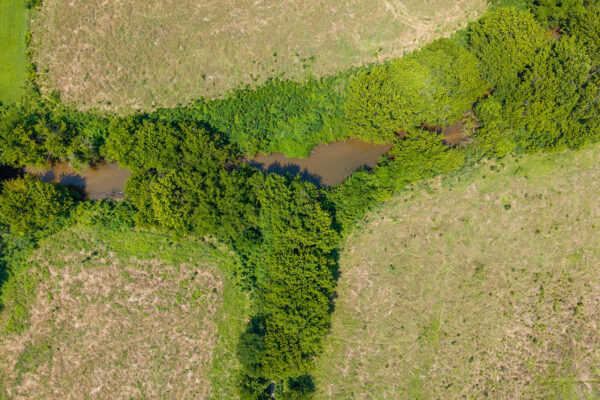 Photo of 72-acres-of-prime-land-in-crandall-murray-county-ga-auction