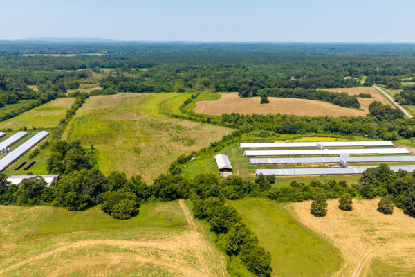Photo of 72-acres-of-prime-land-in-crandall-murray-county-ga-auction