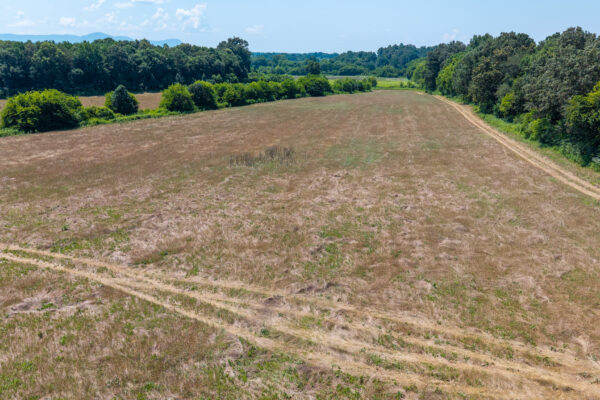 Photo of 72-acres-of-prime-land-in-crandall-murray-county-ga-auction