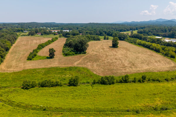 Photo of 72-acres-of-prime-land-in-crandall-murray-county-ga-auction