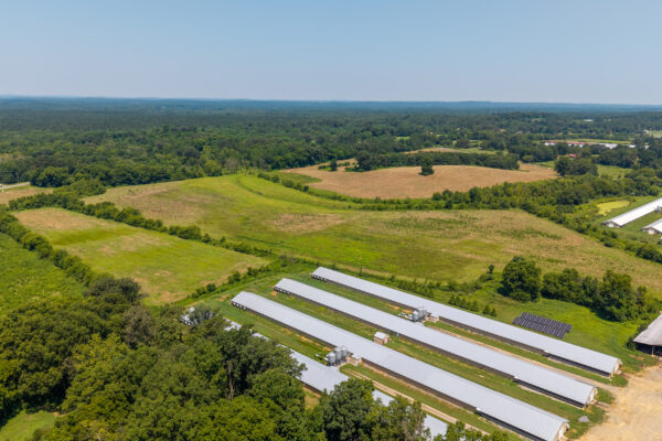 Photo of 72-acres-of-prime-land-in-crandall-murray-county-ga-auction