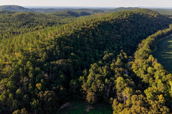 Photo of 384-acres-on-terrapin-creek-in-piedmont-cherokee-county-al-auction