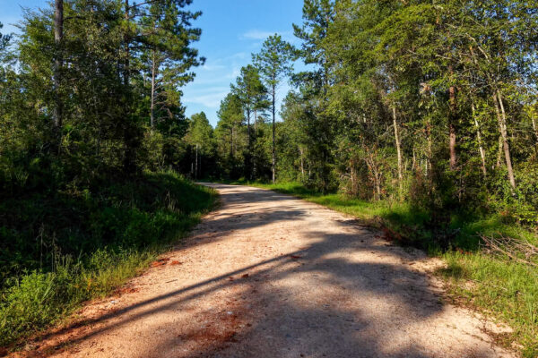 Photo of 384-acres-on-terrapin-creek-in-piedmont-cherokee-county-al-auction