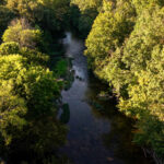 384± acres on Terrapin Creek in Piedmont, Cherokee County, AL Auction