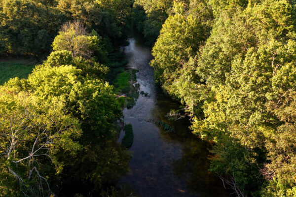 Photo of 384-acres-on-terrapin-creek-in-piedmont-cherokee-county-al-auction