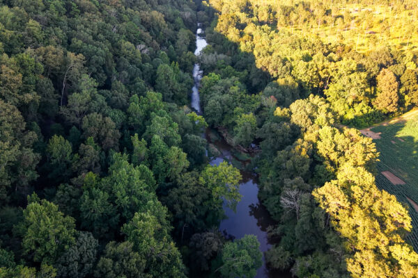 Photo of 384-acres-on-terrapin-creek-in-piedmont-cherokee-county-al-auction