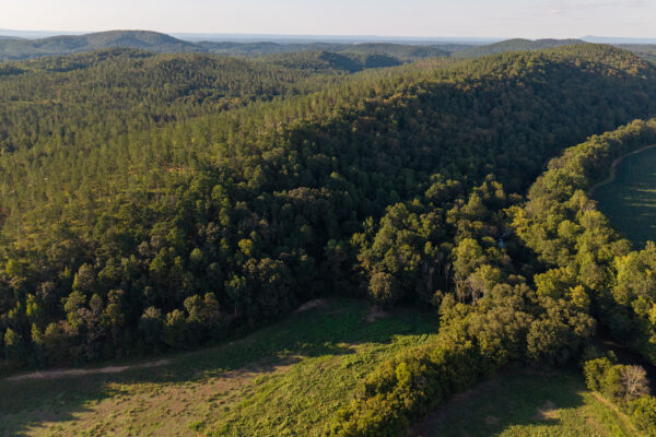 Photo of 384-acres-on-terrapin-creek-in-piedmont-cherokee-county-al-auction