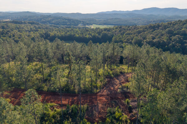 Photo of 384-acres-on-terrapin-creek-in-piedmont-cherokee-county-al-auction