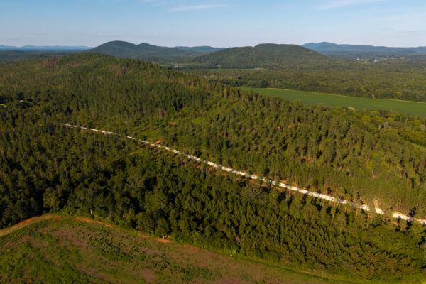 Photo of 384-acres-on-terrapin-creek-in-piedmont-cherokee-county-al-auction