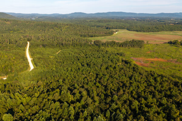 Photo of 384-acres-on-terrapin-creek-in-piedmont-cherokee-county-al-auction