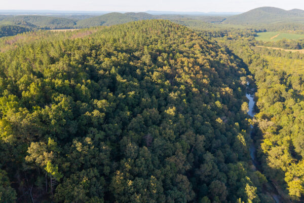 Photo of 384-acres-on-terrapin-creek-in-piedmont-cherokee-county-al-auction