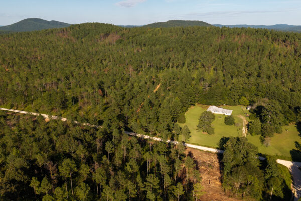 Photo of 384-acres-on-terrapin-creek-in-piedmont-cherokee-county-al-auction