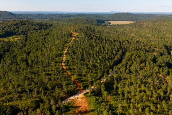 Photo of 384-acres-on-terrapin-creek-in-piedmont-cherokee-county-al-auction