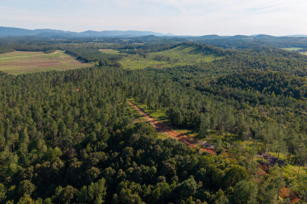 Photo of 384-acres-on-terrapin-creek-in-piedmont-cherokee-county-al-auction