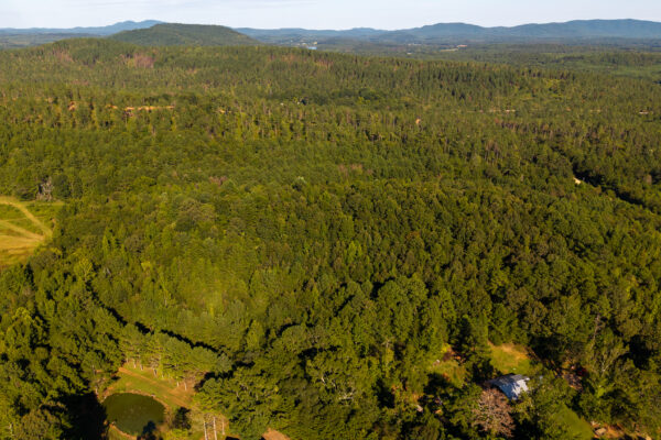 Photo of 384-acres-on-terrapin-creek-in-piedmont-cherokee-county-al-auction