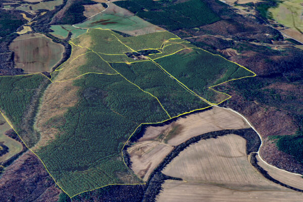 Photo of 384-acres-on-terrapin-creek-in-piedmont-cherokee-county-al-auction