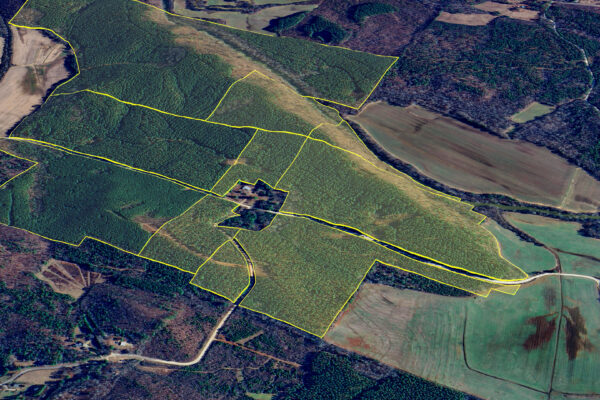 Photo of 384-acres-on-terrapin-creek-in-piedmont-cherokee-county-al-auction