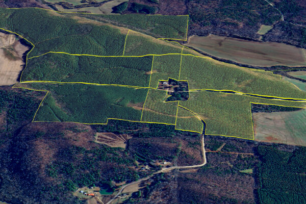 Photo of 384-acres-on-terrapin-creek-in-piedmont-cherokee-county-al-auction