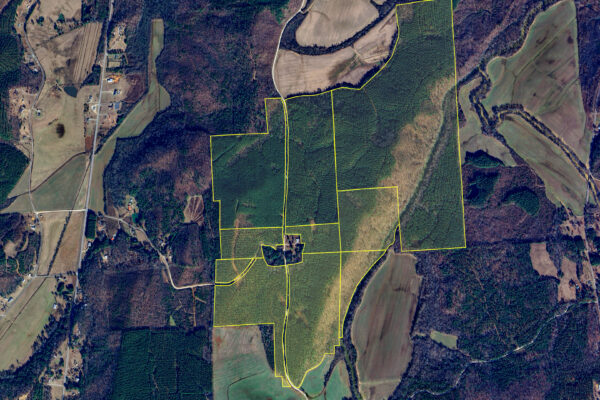 Photo of 384-acres-on-terrapin-creek-in-piedmont-cherokee-county-al-auction