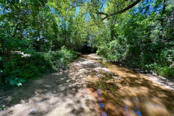 Photo of 405-acres-with-home-timber-pond-and-creek-frontage-coffee-county-al-auction