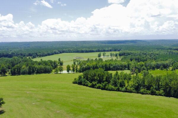 Photo of 405-acres-with-home-timber-pond-and-creek-frontage-coffee-county-al-auction
