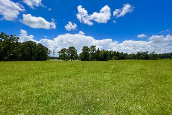 Photo of 405-acres-with-home-timber-pond-and-creek-frontage-coffee-county-al-auction